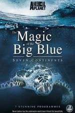 Watch The Magic of the Big Blue Xmovies8