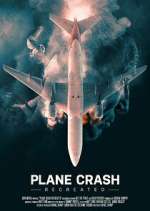 Watch Plane Crash Recreated Xmovies8