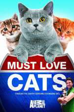 Watch Must Love Cats Xmovies8