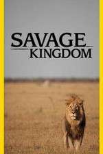 Watch Savage Kingdom Xmovies8
