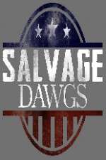 Watch Salvage Dawgs Xmovies8