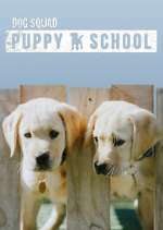 Watch Dog Squad: Puppy School Xmovies8