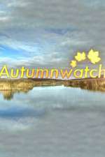 Watch Autumnwatch Xmovies8