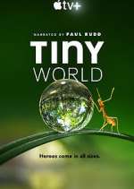 Watch Tiny World Xmovies8