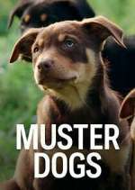 Watch Muster Dogs Xmovies8