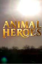 Watch Animal Heroes Xmovies8