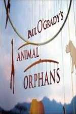 Watch Paul O'Grady's Animal Orphans Xmovies8