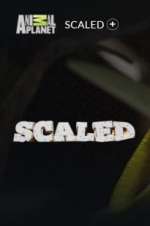 Watch Scaled Xmovies8