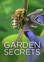 Watch Garden Secrets Xmovies8