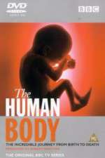 Watch The Human Body Xmovies8