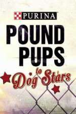 Watch Purina Pound Pups To Dog Stars Xmovies8