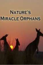 Watch Nature's Miracle Orphans Xmovies8