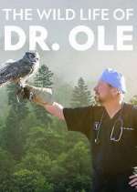 Watch The Wild Life of Dr. Ole Xmovies8