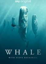 Watch Whale with Steve Backshall Xmovies8
