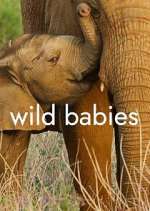 Watch Wild Babies Xmovies8