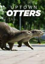 Watch Uptown Otters Xmovies8