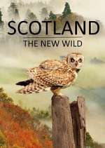 Watch Scotland - The New Wild Xmovies8
