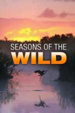 Watch Seasons of the Wild Xmovies8