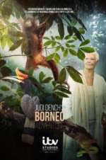 Watch Judi Dench\'s Wild Borneo Adventure Xmovies8