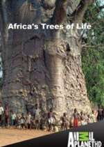 Watch Africa's Trees of Life Xmovies8