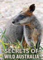 Watch Secrets of Wild Australia Xmovies8