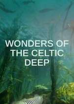 Watch Wonders of the Celtic Deep Xmovies8