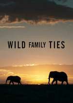 Watch Wild Family Ties Xmovies8