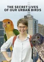 Watch The Secret Lives of Our Urban Birds Xmovies8