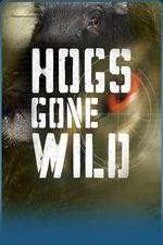 Watch Hogs Gone Wild Xmovies8