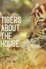 Watch Tigers About the House Xmovies8
