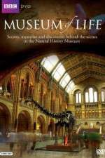 Watch BBC Museum of Life Xmovies8