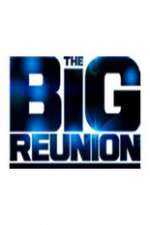 Watch The Big Reunion Xmovies8