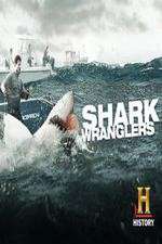 Watch Shark Wranglers Xmovies8
