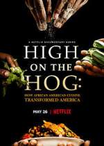 Watch High on the Hog: How African American Cuisine Transformed America Xmovies8
