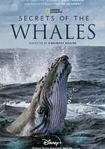 Watch Secrets of the Whales Xmovies8