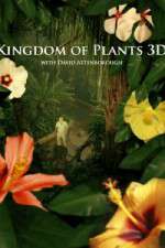 Watch Kingdom of Plants 3D Xmovies8