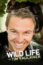 Watch The Wild Life of Tim Faulkner Xmovies8