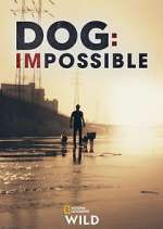 Watch Dog: Impossible Xmovies8