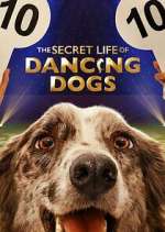 Watch The Secret Life of Dancing Dogs Xmovies8