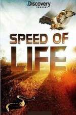 Watch Discovery Channel Speed Of Life Xmovies8