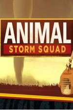 Watch Animal Storm Squad Xmovies8