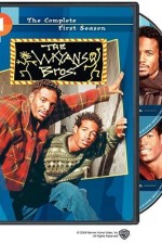 Watch The Wayans Bros Xmovies8