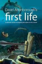 Watch David Attenborough's First Life Xmovies8