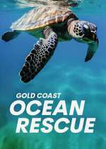 Watch Gold Coast Ocean Rescue Xmovies8