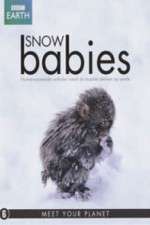 Watch Snow Babies Xmovies8