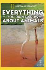 Watch Everything You Didnt Know About Animals Xmovies8
