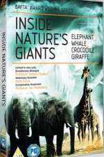 Watch Inside Nature's Giants Xmovies8