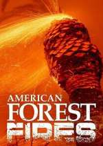 Watch American Forest Fires: The Untold Story Xmovies8