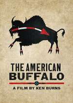 Watch The American Buffalo Xmovies8