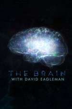 Watch The Brain with Dr David Eagleman Xmovies8